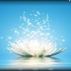 Download live wallpaper Magic water lilies for free and Quantum cloud for Android phones and tablets .