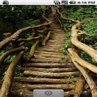 Download live wallpaper Magical forest by Wpstar for free and My log home for Android phones and tablets .