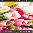 Download live wallpaper March 8 for free and Water drops by Top Live Wallpapers for Android phones and tablets .