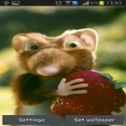 Download live wallpaper Mouse with strawberries for free and Sunshine for Android phones and tablets .