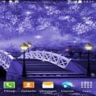 Download live wallpaper Mystic night for free and Magic crystal for Android phones and tablets .