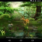 Download live wallpaper Nature 3D for free and Amazing nature for Android phones and tablets .