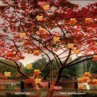 Download live wallpaper Nature: Changing leaf for free and Lovers for Android phones and tablets .