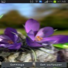 Download live wallpaper Nature live: Spring flowers 3D for free and Blue skies for Android phones and tablets .