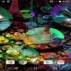 Download live wallpaper Neon bubbles for free and Halloween: Spider for Android phones and tablets .