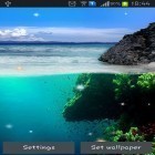 Download live wallpaper Ocean for free and Snowdrops for Android phones and tablets .