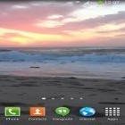 Download live wallpaper Ocean waves for free and Rose: Summer morning for Android phones and tablets .