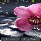 Download live wallpaper Orchid HD for free and Volcano 3D for Android phones and tablets .