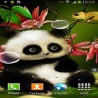 Download live wallpaper Panda by Live wallpapers 3D for free and Fruits by Wasabi for Android phones and tablets .