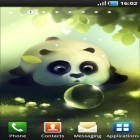 Download live wallpaper Panda dumpling for free and Fire drawing for Android phones and tablets .