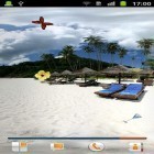Download live wallpaper Paradise for free and Rainy day by Dynamic Live Wallpapers for Android phones and tablets .