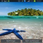 Download live wallpaper Paradise island for free and Poppy field for Android phones and tablets .