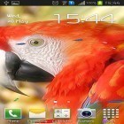 Download live wallpaper Parrot by TTR for free and Egypt 3D for Android phones and tablets .