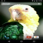 Download live wallpaper Parrots for free and Luminous jellyfish HD for Android phones and tablets .