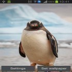 Download live wallpaper Penguin for free and Ink in water for Android phones and tablets .