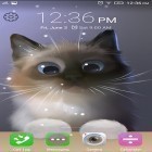 Download live wallpaper Peper the kitten for free and Winter snow for Android phones and tablets .