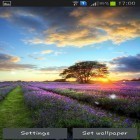 Download live wallpaper Perfect sunset for free and Autumn sunny day for Android phones and tablets .