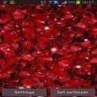 Download live wallpaper Petals for free and Red rose by DynamicArt Creator for Android phones and tablets .