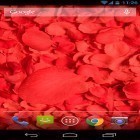 Download live wallpaper Petals 3D for free and Hamlet the cat for Android phones and tablets .