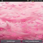 Download live wallpaper Pink feather for free and Spring flowers 3D for Android phones and tablets .