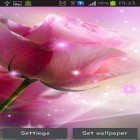Download live wallpaper Pink roses for free and Shining clock for Android phones and tablets .