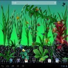 Download live wallpaper Plasticine aquarium for free and Space clouds 3D for Android phones and tablets .