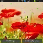 Download live wallpaper Poppy fields for free and Shining clock for Android phones and tablets .
