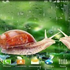 Download live wallpaper Rain for free and New Year 2018 for Android phones and tablets .