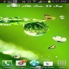 Download live wallpaper Rain drop for free and Tree with falling leaves for Android phones and tablets .