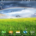 Download live wallpaper Rainbow by Blackbird wallpapers for free and Thunderstorm by BlackBird Wallpapers for Android phones and tablets .