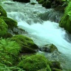 Download live wallpaper River flow for free and Landscape 4K-video for Android phones and tablets .