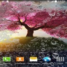Download live wallpaper Romantic for free and Winter night for Android phones and tablets .