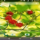 Download live wallpaper Rose clock for free and Plasticine spring flowers for Android phones and tablets .