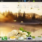Download live wallpaper Rose: Summer morning for free and Christmas: Countdown for Android phones and tablets .