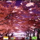 Download live wallpaper Sakura 3D for free and Gold clock by Mzemo for Android phones and tablets .