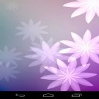 Download live wallpaper Samsung: Carnival for free and Macro butterflies for Android phones and tablets .