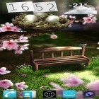 Download live wallpaper Season zen for free and Cute bird for Android phones and tablets .