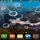 Download live wallpaper Shark for free and Oriental garden 3D for Android phones and tablets .