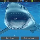 Download live wallpaper Sharks for free and Neon digital clock for Android phones and tablets .