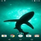 Download live wallpaper Sharks by Fun Live Wallpapers for free and Magic garden by Jango LWP Studio for Android phones and tablets .