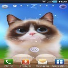 Download live wallpaper Shui kitten for free and Waves on rocks for Android phones and tablets .