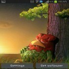 Download live wallpaper Sleep cock for free and Mossy Forest for Android phones and tablets .