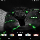 Besides Snakes by Fun live wallpapers live wallpapers for Android, download other free live wallpapers for Asus ZenPad 7.0 Z170C.
