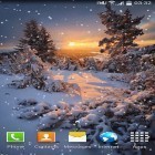 Download live wallpaper Snow for free and Cool wallpapers for Android phones and tablets .