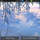 Download live wallpaper Snow white in winter for free and Safari for Android phones and tablets .