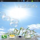Download live wallpaper Snowdrops for free and Dubai for Android phones and tablets .