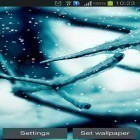 Download live wallpaper Snowfall by Divarc group for free and Butterfly 3D by taptechy for Android phones and tablets .