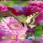 Download live wallpaper Spring flowers 3D for free and Meteor shower by Live wallpapers free for Android phones and tablets .