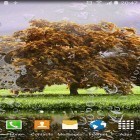 Download live wallpaper Spring landscapes for free and Dreams 3D for Android phones and tablets .