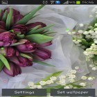 Download live wallpaper Springs lilie and tulips for free and My log home for Android phones and tablets .